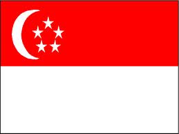 Xocai Singapore Flag
